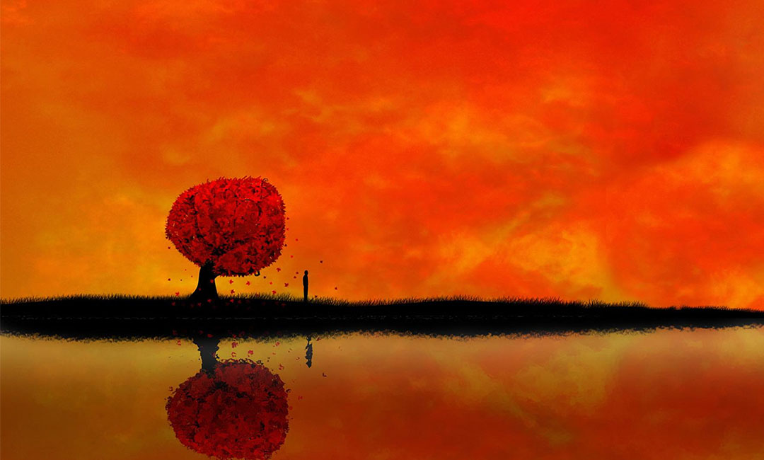 漳州笙影微信朋友圈转发案例